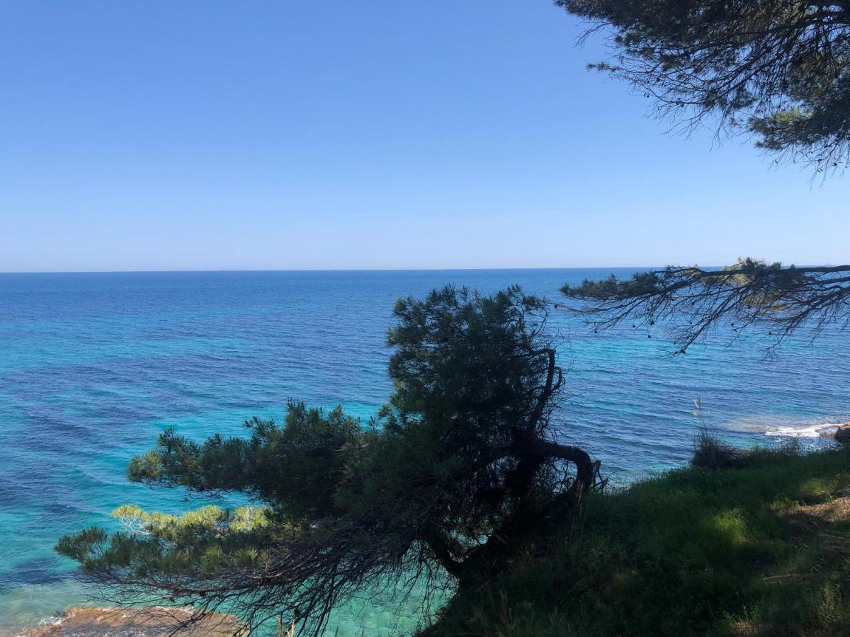 Fabiola 1 Lägenhet Calpe Exteriör bild