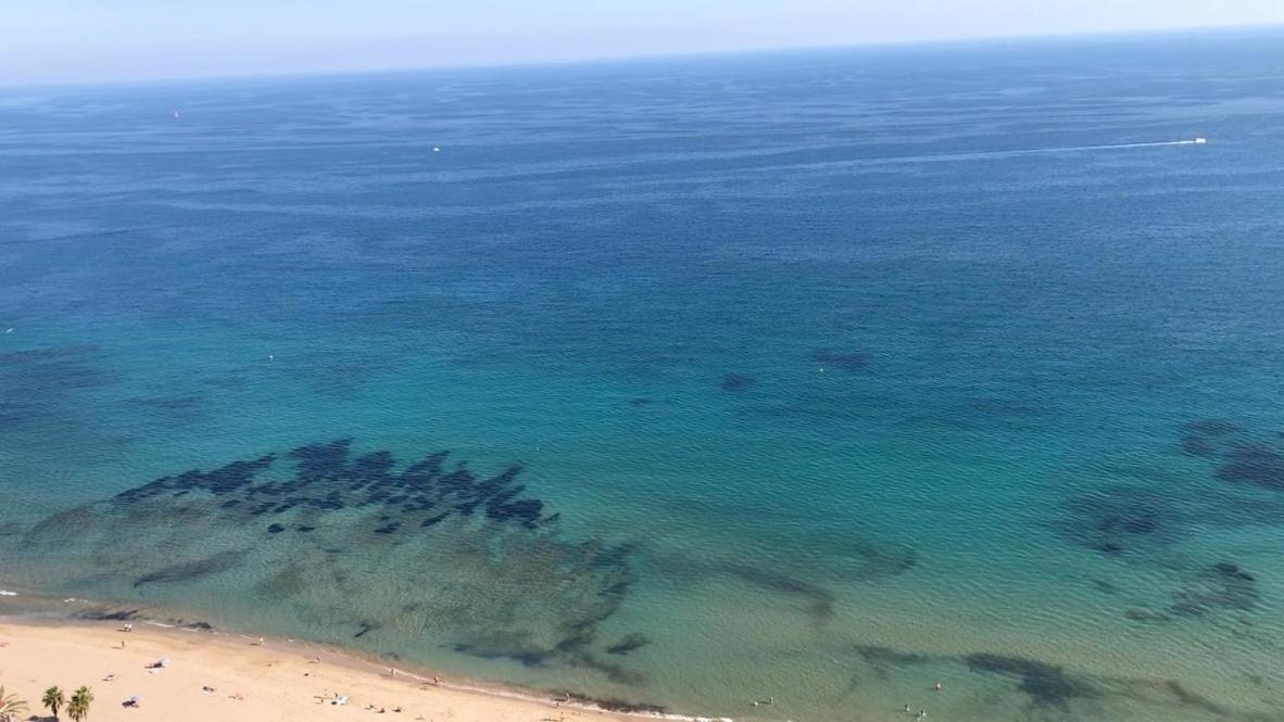 Fabiola 1 Lägenhet Calpe Exteriör bild